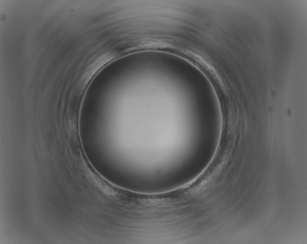 X0000073921281200608181040