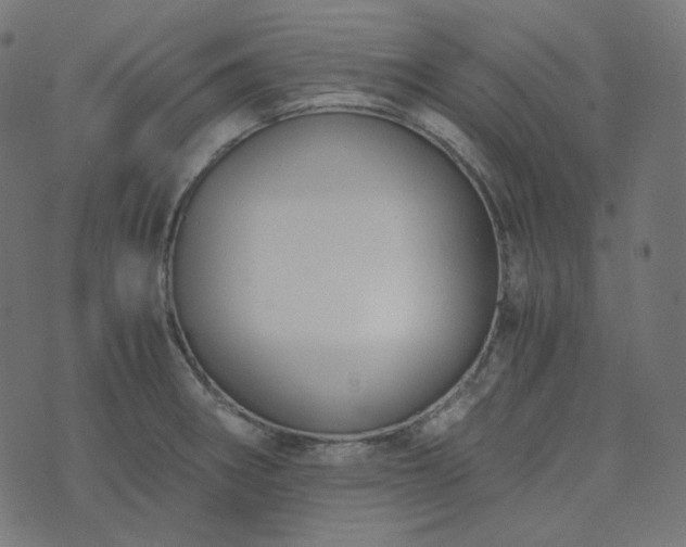 X0000073921282200608181040