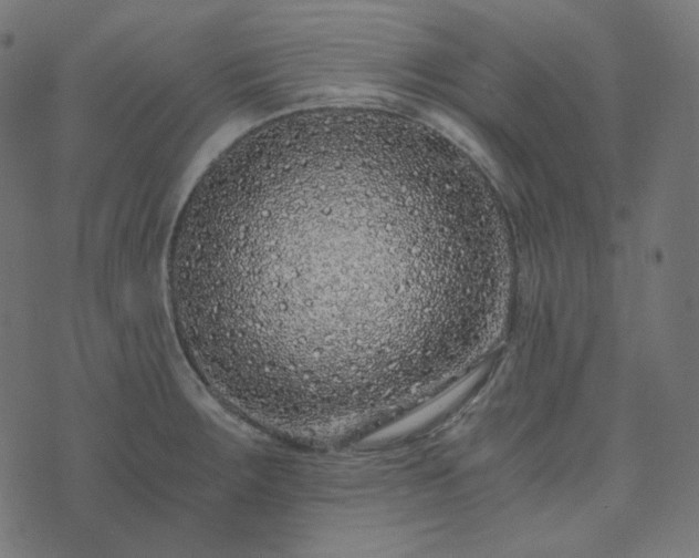 X0000073921283200608181040