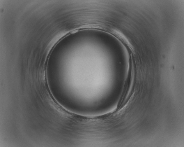 X0000073921284200608181040