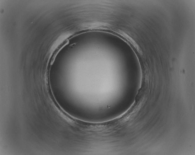 X0000073921285200608181040