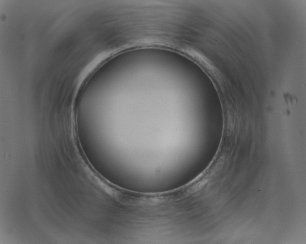 X0000073921286200608181040