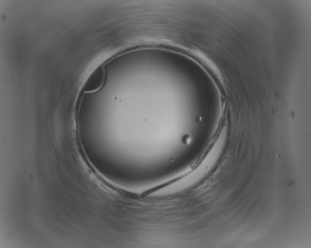 X0000073921287200608181040