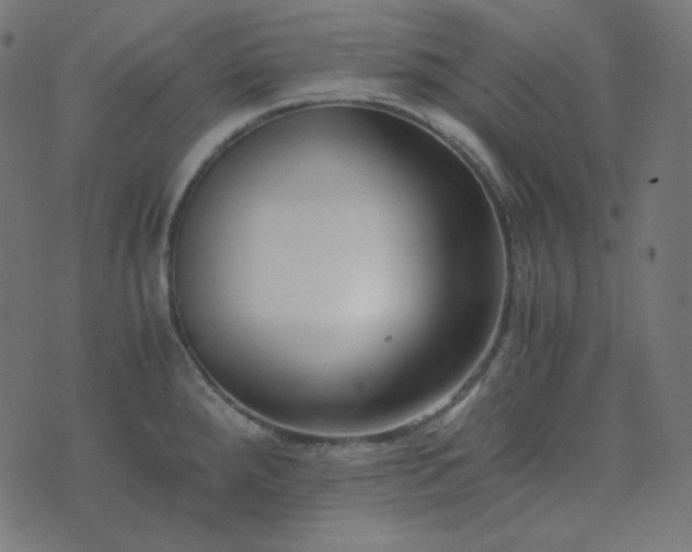 X0000073921288200608181040