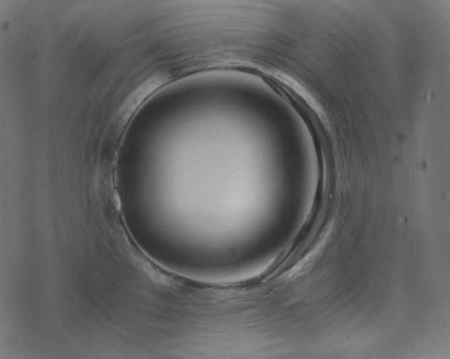 X0000073921289200608181040