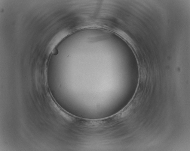 X0000073921290200608181040