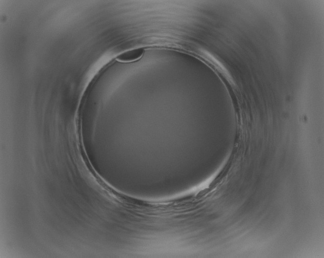 X0000073921291200608181040