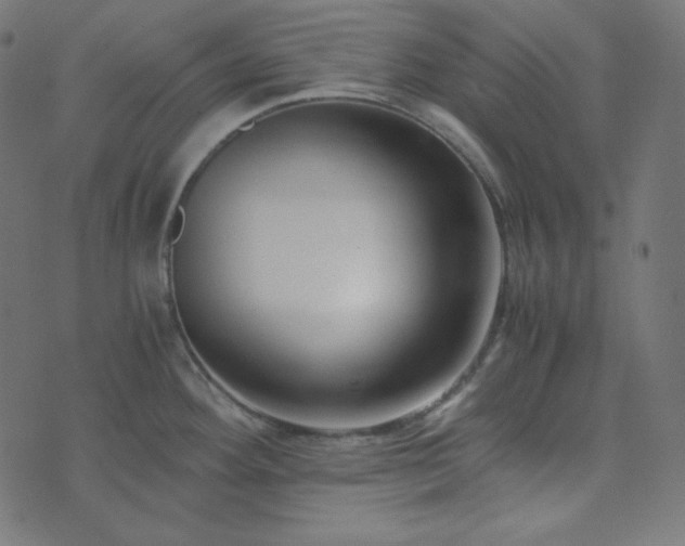 X0000073921292200608181040