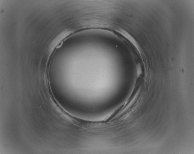 X0000073921293200608181040