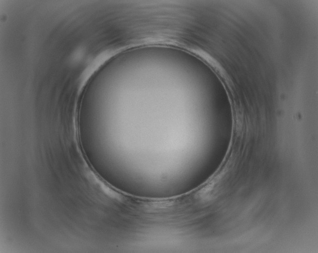 X0000073921294200608181040