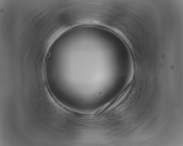 X0000073921295200608181040