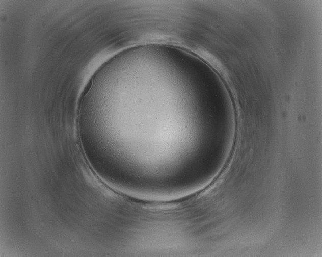 X0000073921296200608181040