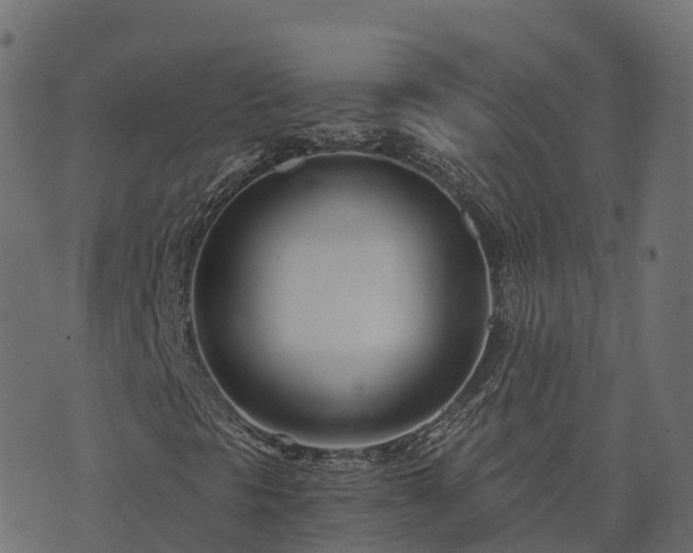 X0000073921297200608181039