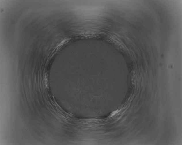 X0000073921298200608181039