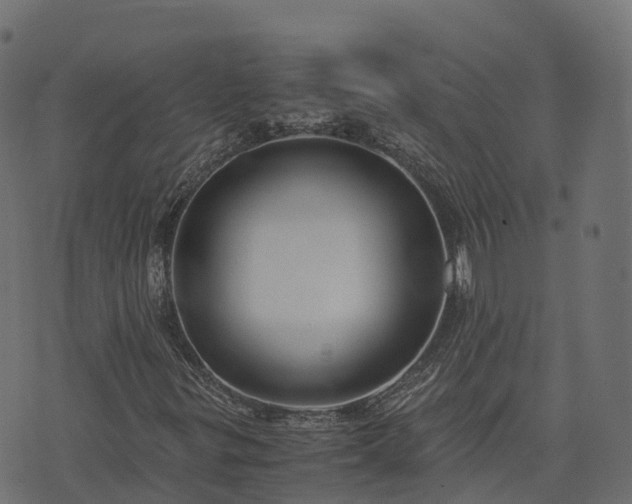 X0000073921299200608181039