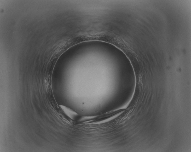 X0000073921300200608181039