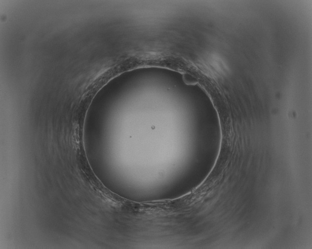 X0000073921301200608181039