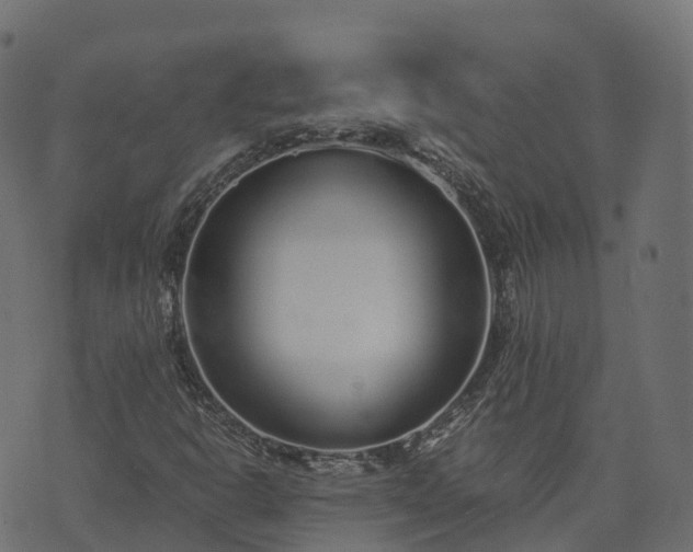 X0000073921302200608181039