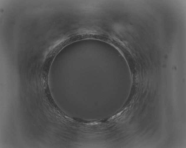 X0000073921303200608181039