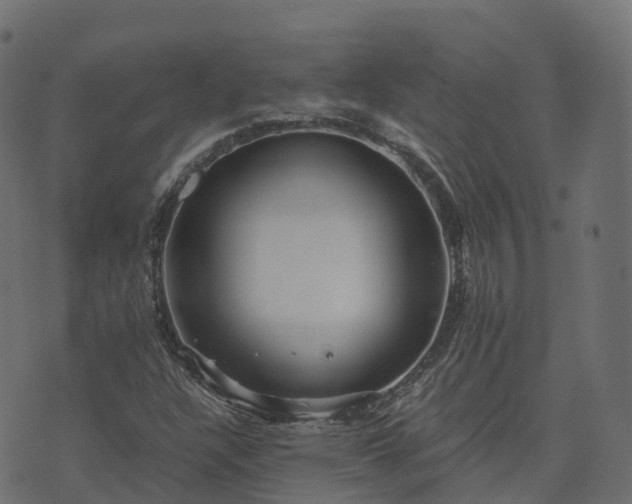 X0000073921304200608181039