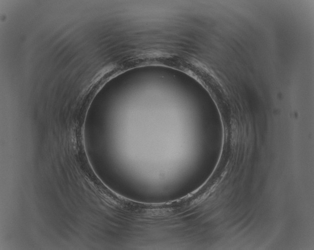 X0000073921305200608181039