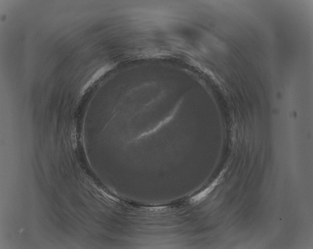 X0000073921306200608181039