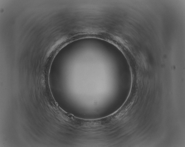 X0000073921307200608181039