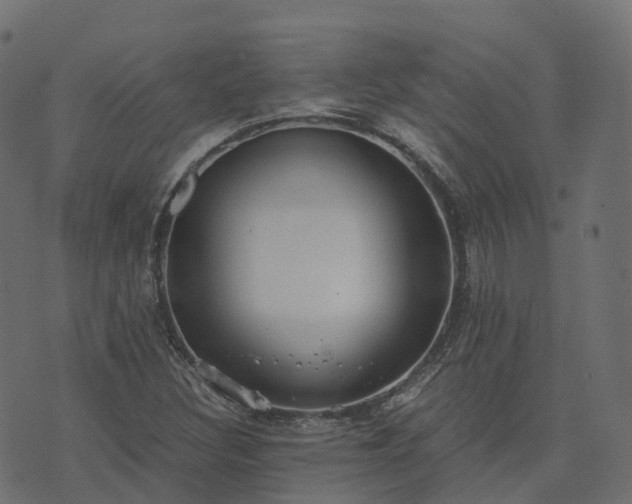 X0000073921308200608181039