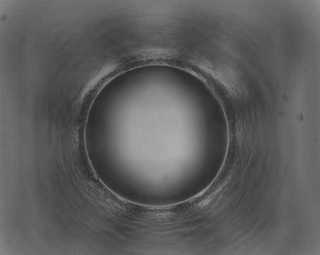 X0000073921309200608181039