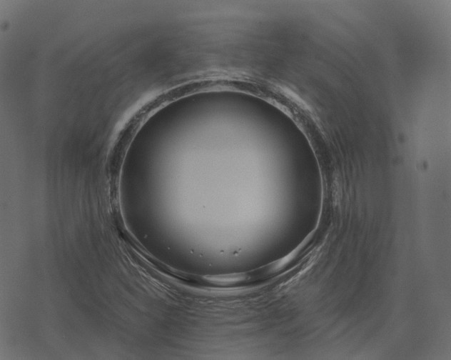 X0000073921310200608181039