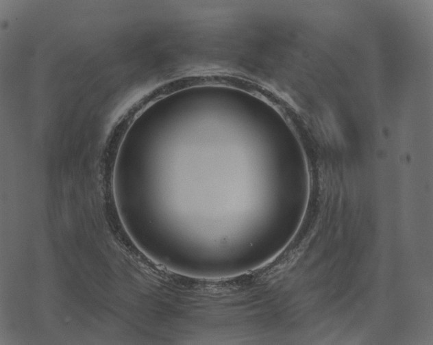 X0000073921311200608181039