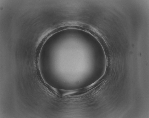 X0000073921312200608181039