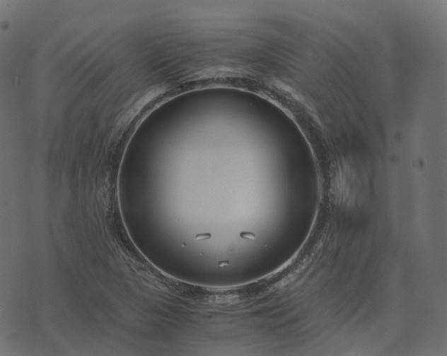 X0000073921313200608181039