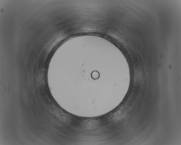 X0000073921314200608181039