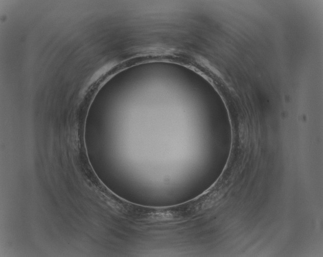 X0000073921315200608181039