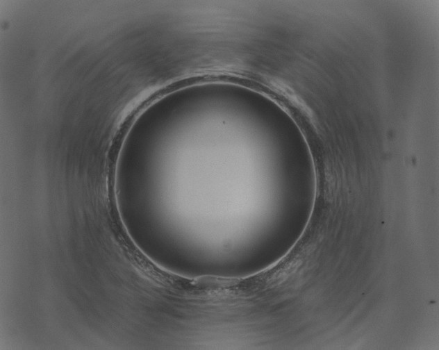 X0000073921316200608181039