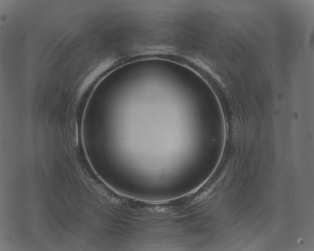 X0000073921317200608181039