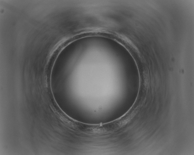 X0000073921318200608181039