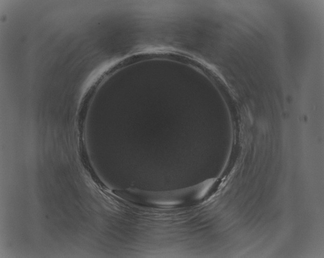 X0000073921319200608181039