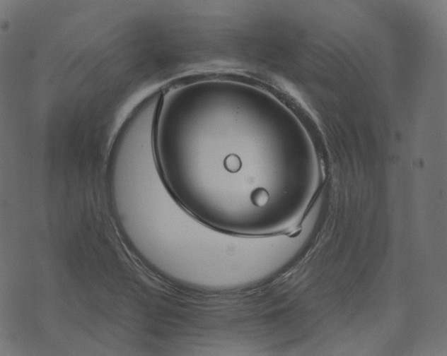 X0000073921320200608181039