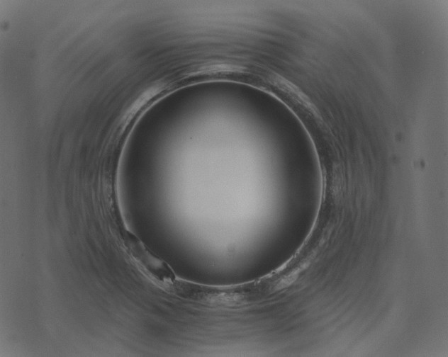 X0000073921321200608181039