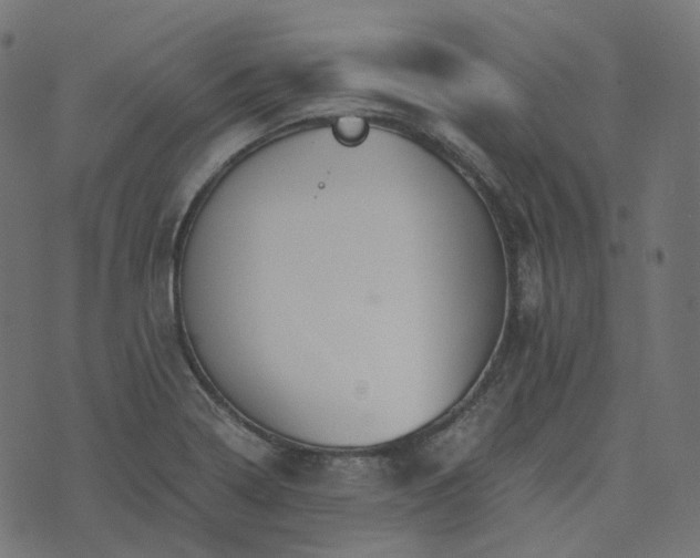 X0000073921322200608181039