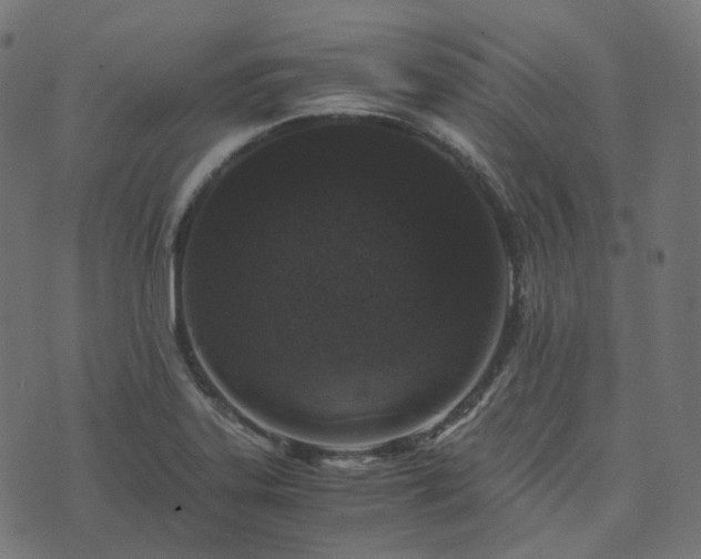 X0000073921323200608181039