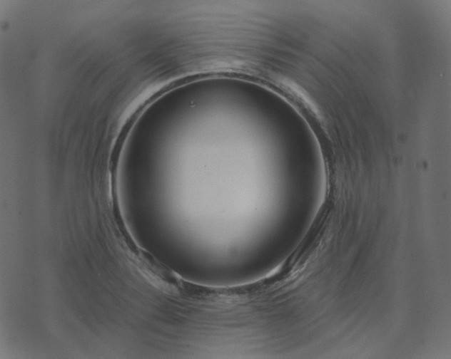 X0000073921324200608181039