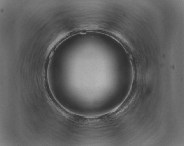 X0000073921325200608181039