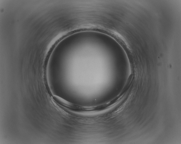 X0000073921326200608181039