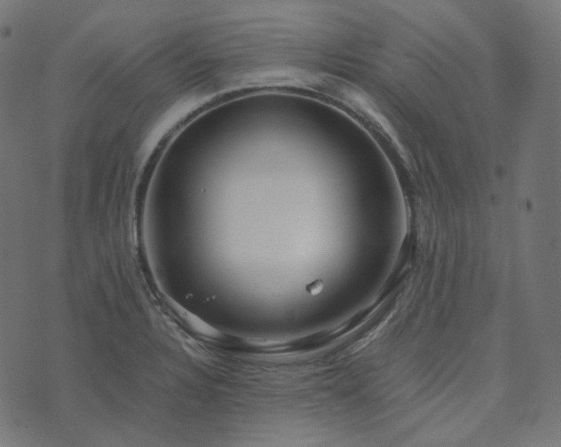 X0000073921328200608181039