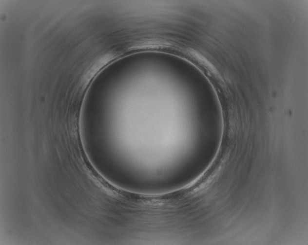 X0000073921329200608181039