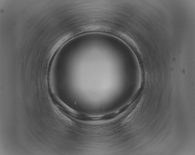 X0000073921330200608181039