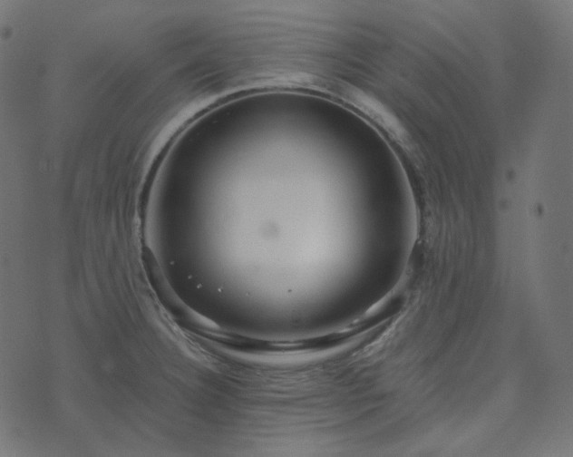 X0000073921332200608181039